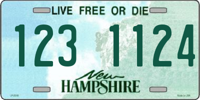 NH license plate 1231124