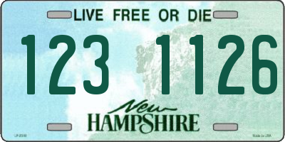 NH license plate 1231126