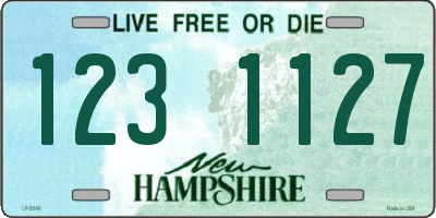 NH license plate 1231127
