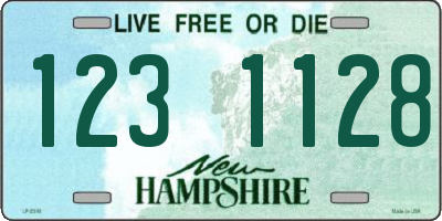 NH license plate 1231128