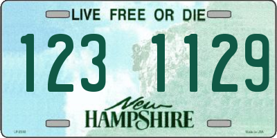 NH license plate 1231129