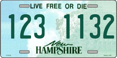 NH license plate 1231132