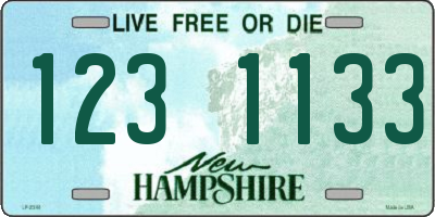 NH license plate 1231133