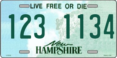 NH license plate 1231134