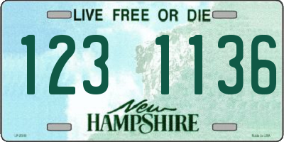 NH license plate 1231136