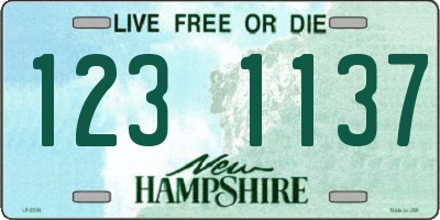 NH license plate 1231137
