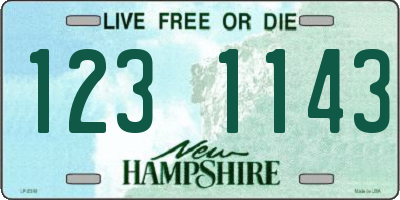 NH license plate 1231143