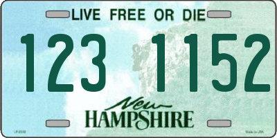 NH license plate 1231152