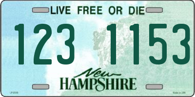NH license plate 1231153