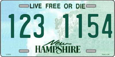 NH license plate 1231154