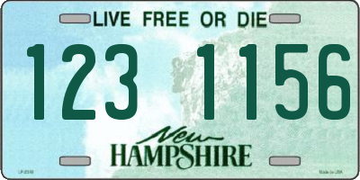 NH license plate 1231156