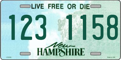 NH license plate 1231158