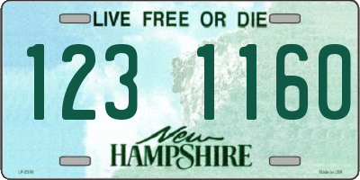 NH license plate 1231160