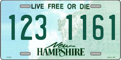 NH license plate 1231161