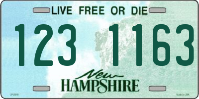 NH license plate 1231163