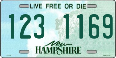 NH license plate 1231169