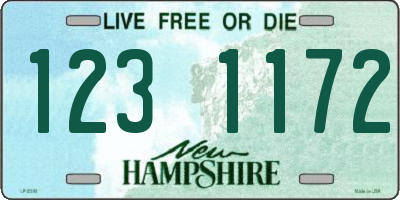 NH license plate 1231172