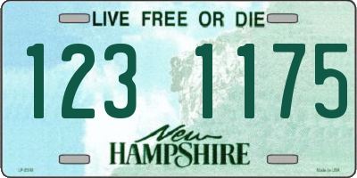 NH license plate 1231175
