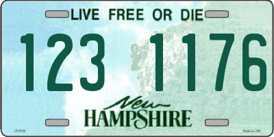 NH license plate 1231176