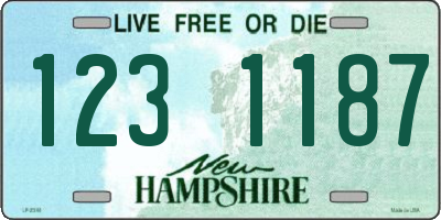 NH license plate 1231187