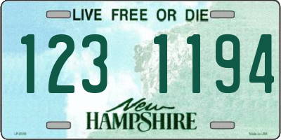 NH license plate 1231194