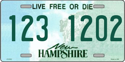 NH license plate 1231202