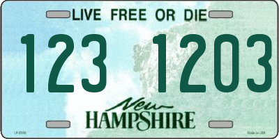 NH license plate 1231203