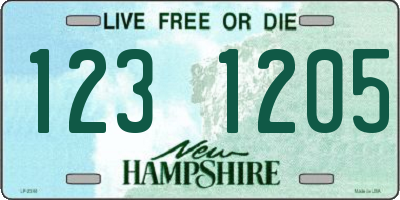 NH license plate 1231205