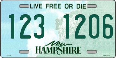 NH license plate 1231206
