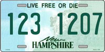 NH license plate 1231207