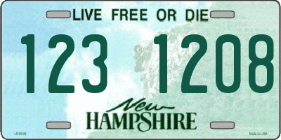 NH license plate 1231208