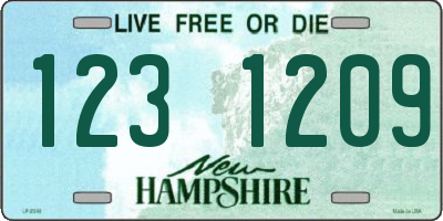 NH license plate 1231209