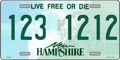 NH license plate 1231212