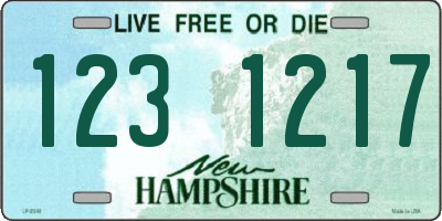 NH license plate 1231217