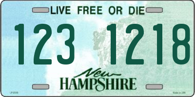 NH license plate 1231218