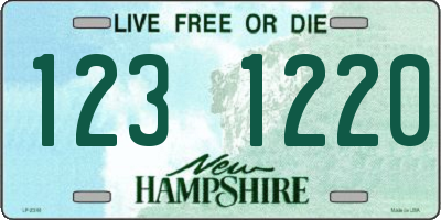 NH license plate 1231220