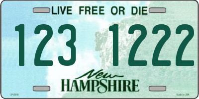 NH license plate 1231222