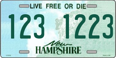 NH license plate 1231223