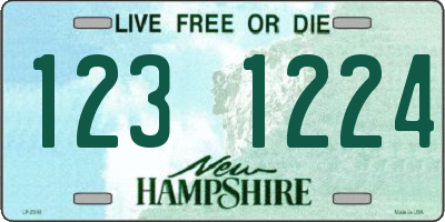 NH license plate 1231224