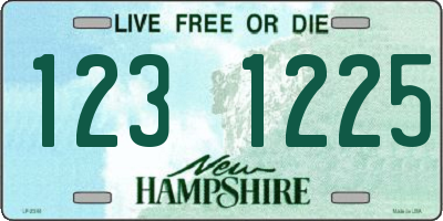 NH license plate 1231225