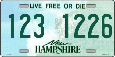 NH license plate 1231226