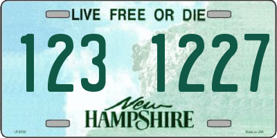 NH license plate 1231227