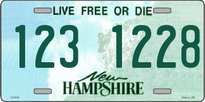 NH license plate 1231228