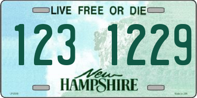 NH license plate 1231229
