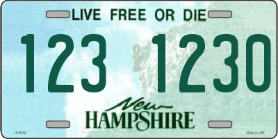 NH license plate 1231230