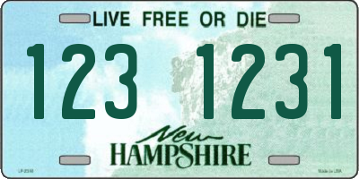 NH license plate 1231231