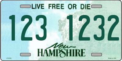 NH license plate 1231232