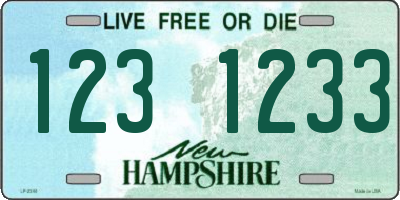 NH license plate 1231233