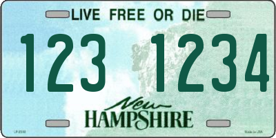 NH license plate 1231234