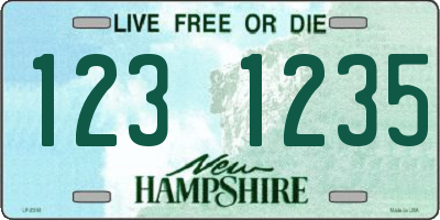 NH license plate 1231235